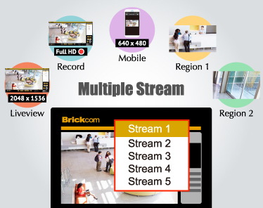 Multiple Stream Technology